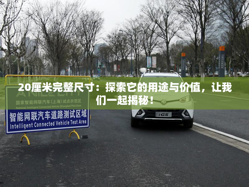 20厘米完整尺寸：探索它的用途与价值，让我们一起揭秘！