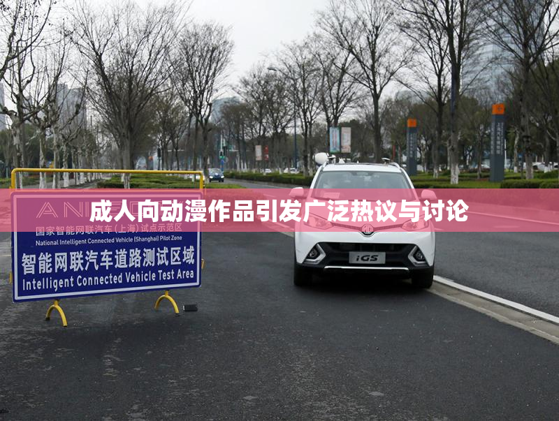 成人向动漫作品引发广泛热议与讨论