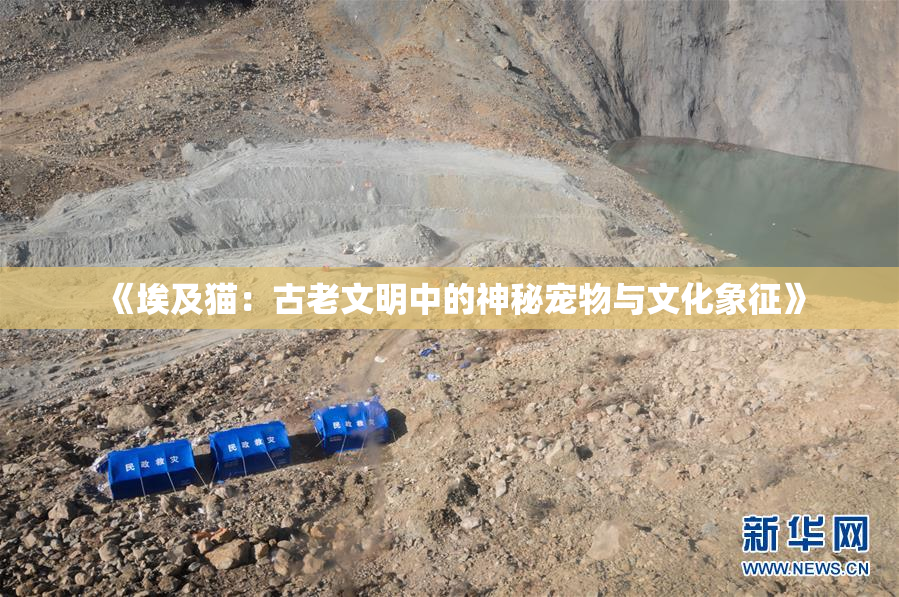《埃及猫：古老文明中的神秘宠物与文化象征》