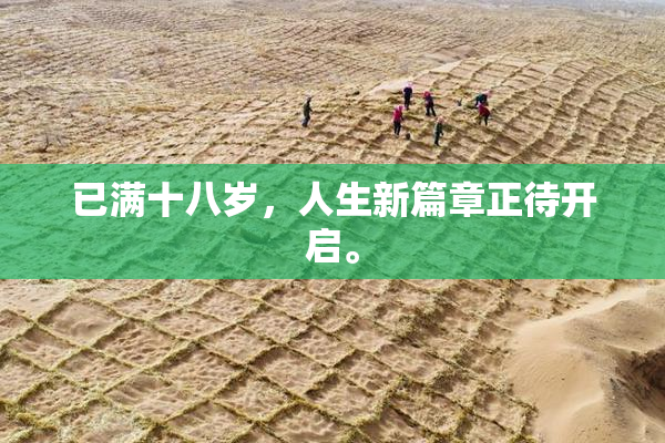 已满十八岁，人生新篇章正待开启。