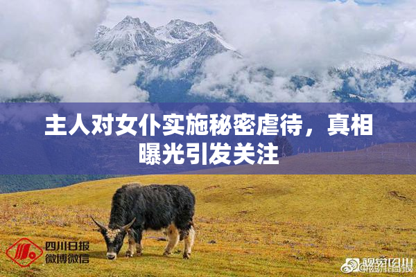 主人对女仆实施秘密虐待，真相曝光引发关注