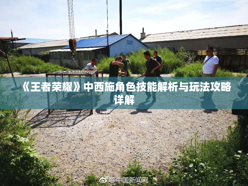 《王者荣耀》中西施角色技能解析与玩法攻略详解