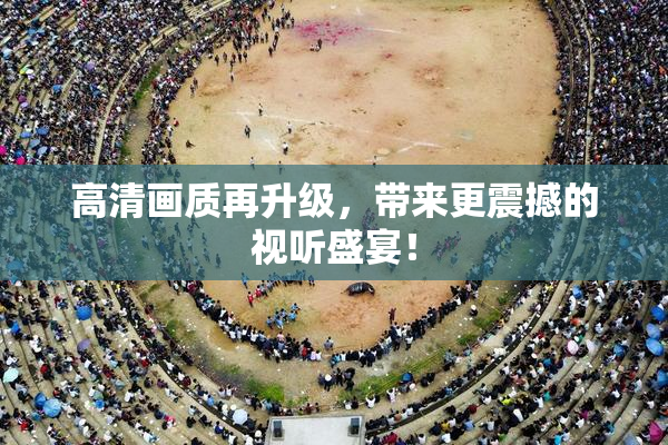 高清画质再升级，带来更震撼的视听盛宴！