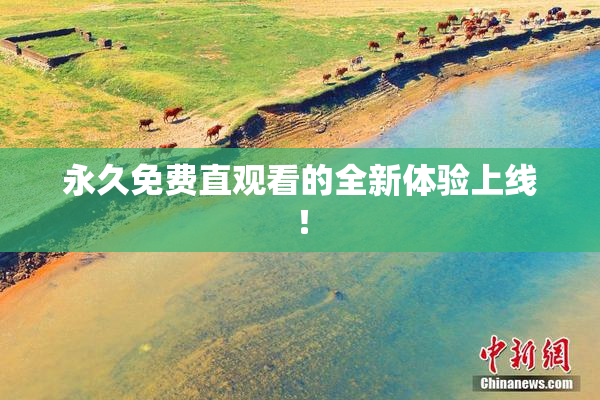 永久免费直观看的全新体验上线！