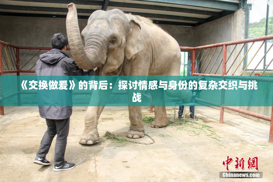 《交换做爰》的背后：探讨情感与身份的复杂交织与挑战