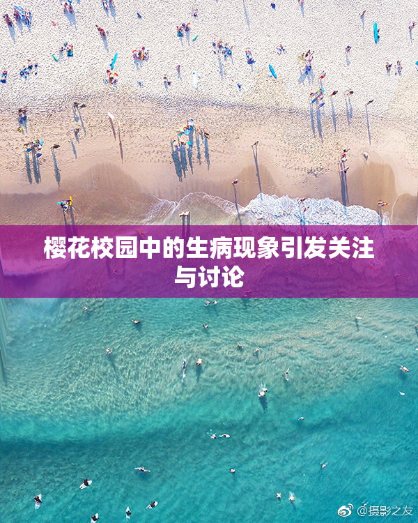 樱花校园中的生病现象引发关注与讨论