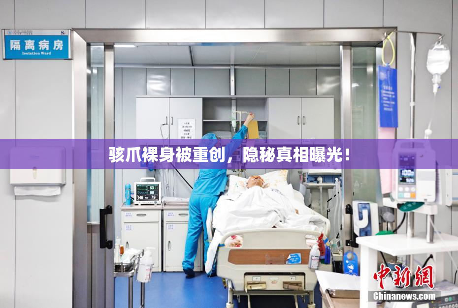 骇爪裸身被重创，隐秘真相曝光！