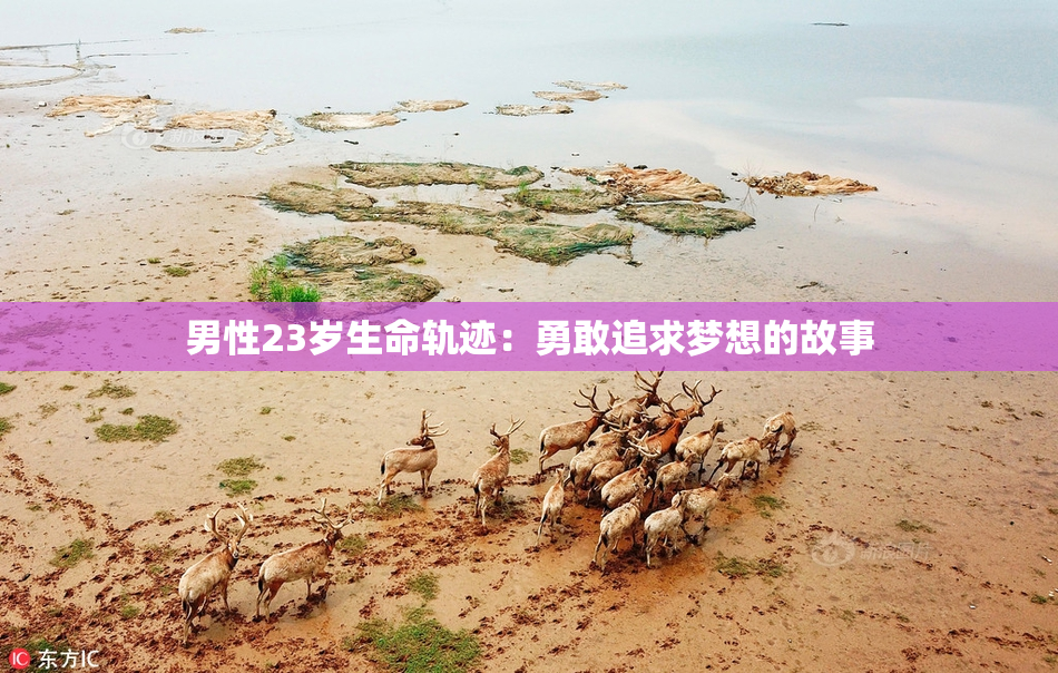 男性23岁生命轨迹：勇敢追求梦想的故事