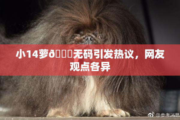 小14萝🔞无码引发热议，网友观点各异