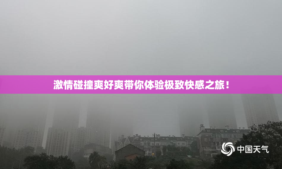 激情碰撞爽好爽带你体验极致快感之旅！