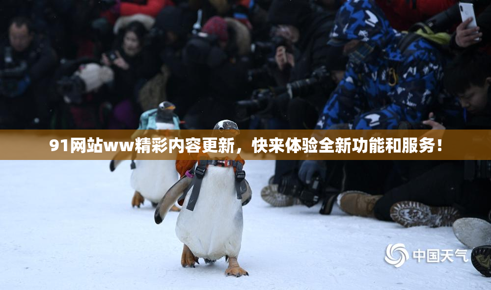 91网站ww精彩内容更新，快来体验全新功能和服务！