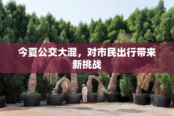 今夏公交大混，对市民出行带来新挑战