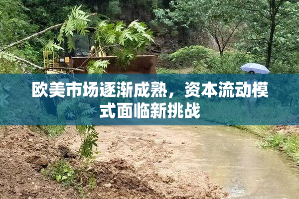 欧美市场逐渐成熟，资本流动模式面临新挑战