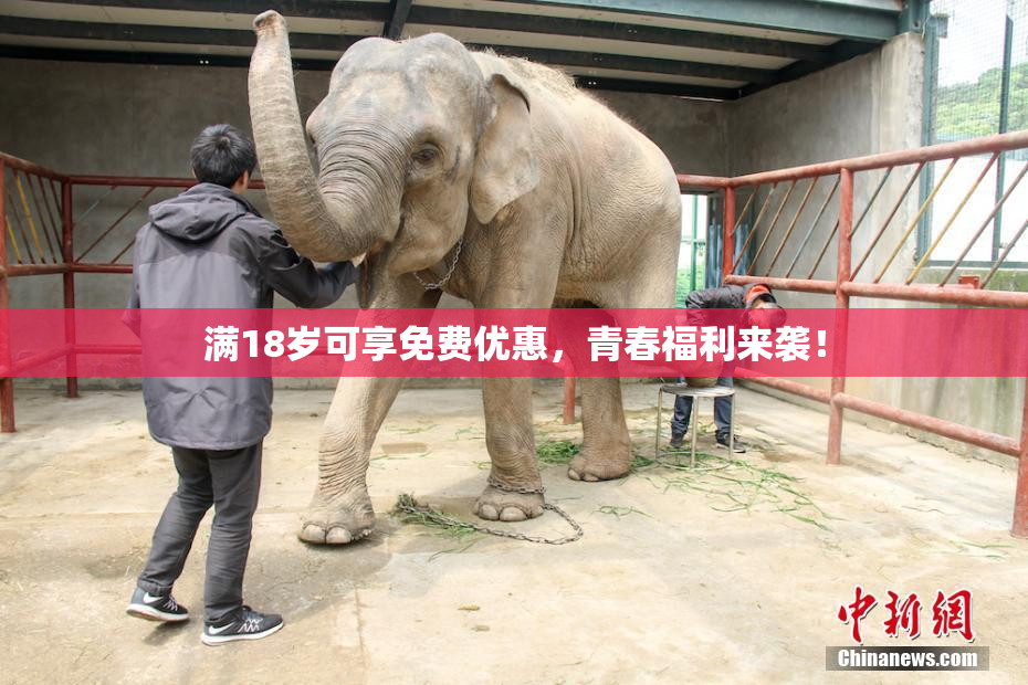 满18岁可享免费优惠，青春福利来袭！