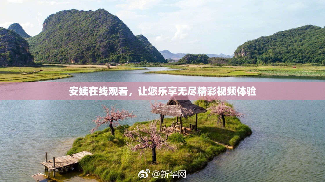 安姨在线观看，让您乐享无尽精彩视频体验