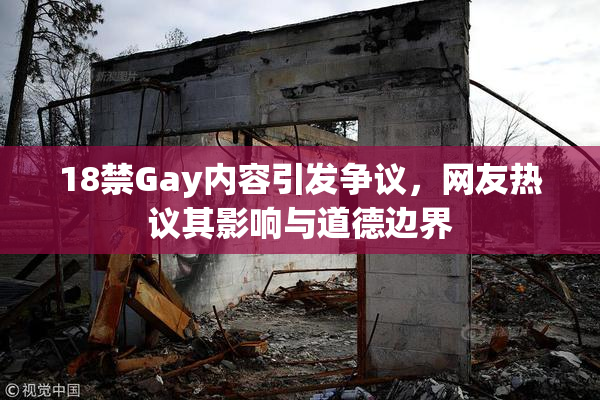 18禁Gay内容引发争议，网友热议其影响与道德边界