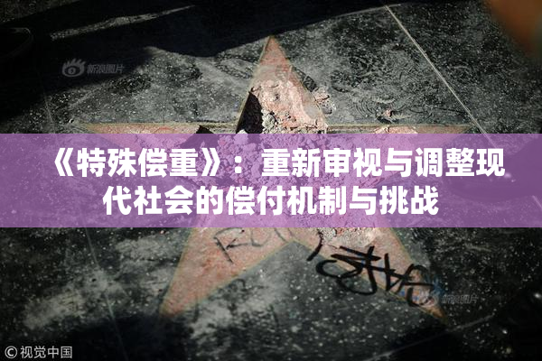 《特殊偿重》：重新审视与调整现代社会的偿付机制与挑战