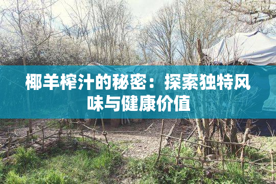 椰羊榨汁的秘密：探索独特风味与健康价值