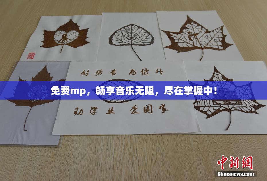 免费mp，畅享音乐无阻，尽在掌握中！