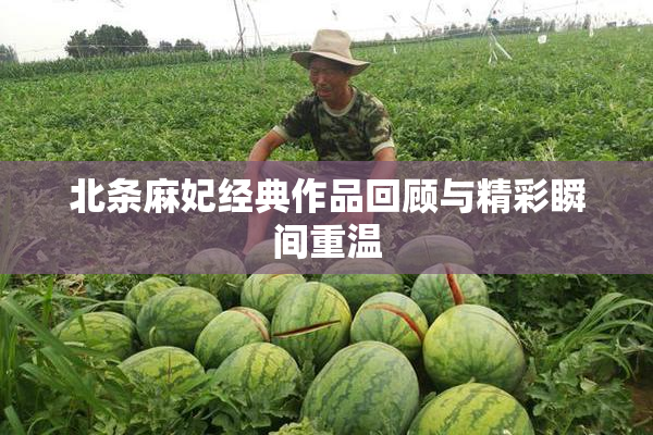 北条麻妃经典作品回顾与精彩瞬间重温