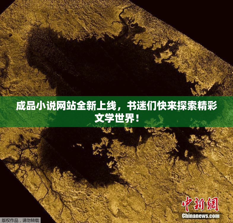 成品小说网站全新上线，书迷们快来探索精彩文学世界！