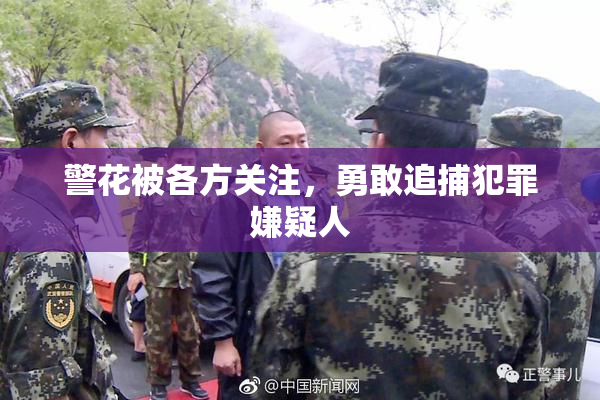 警花被各方关注，勇敢追捕犯罪嫌疑人