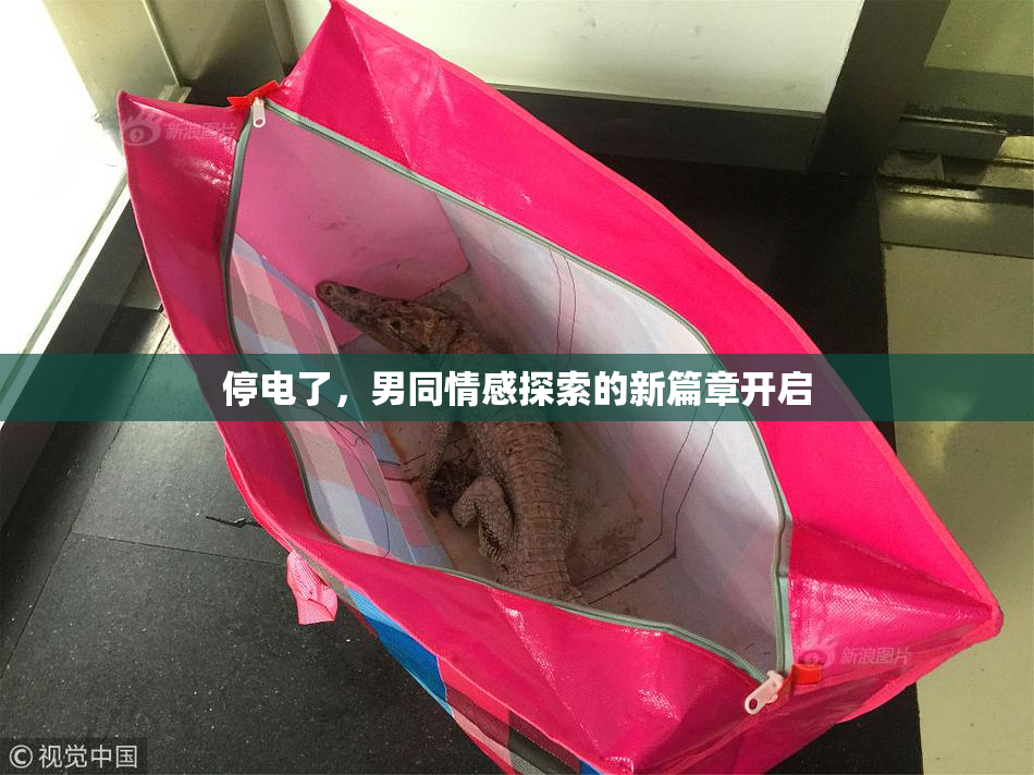 停电了，男同情感探索的新篇章开启