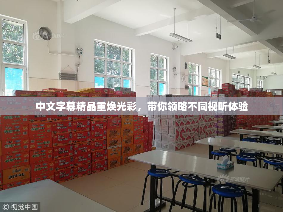 中文字幕精品重焕光彩，带你领略不同视听体验