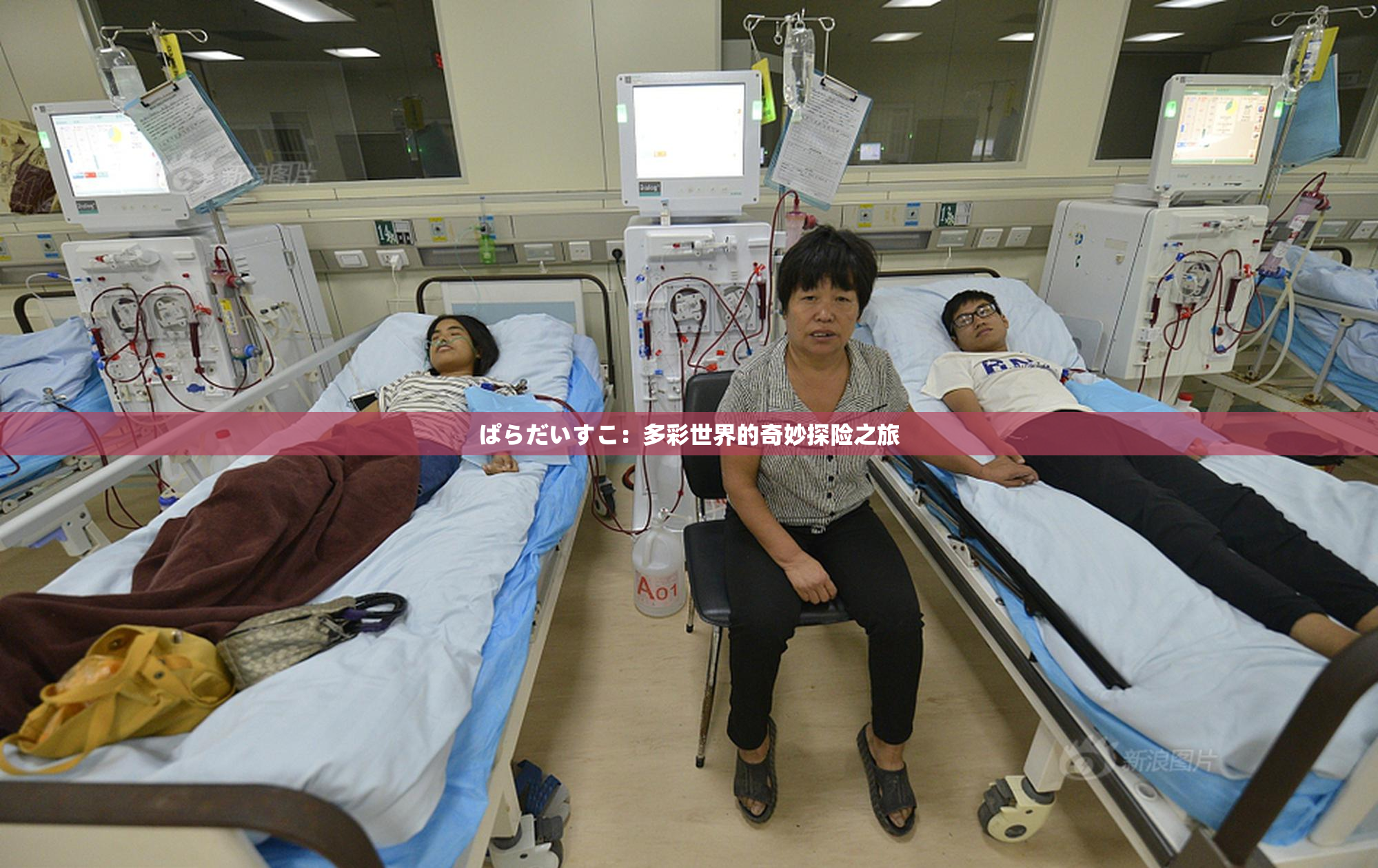ぱらだいすこ：多彩世界的奇妙探险之旅