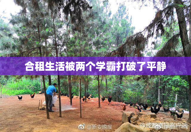 合租生活被两个学霸打破了平静