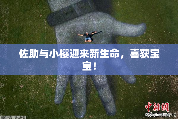 佐助与小樱迎来新生命，喜获宝宝！