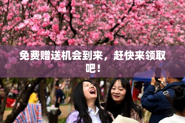 免费赠送机会到来，赶快来领取吧！