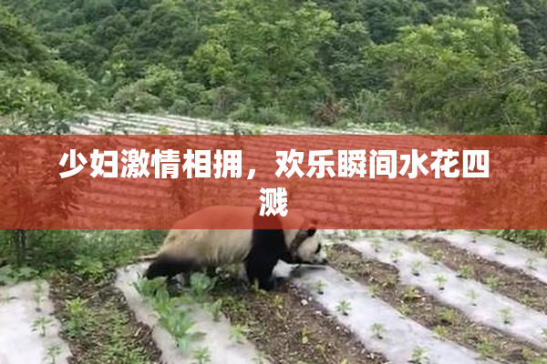 少妇激情相拥，欢乐瞬间水花四溅