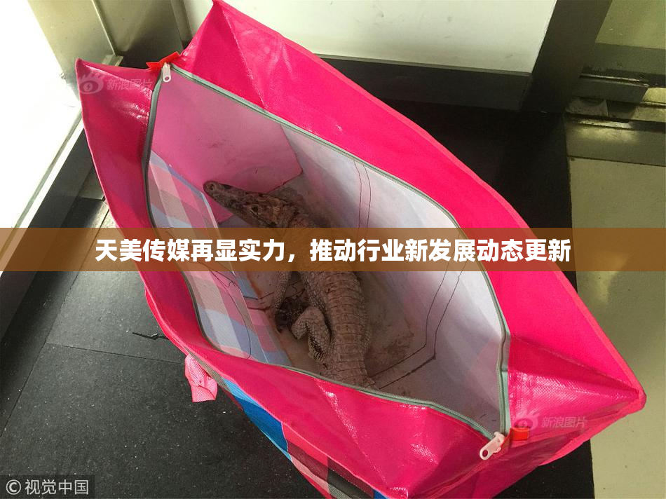 天美传媒再显实力，推动行业新发展动态更新
