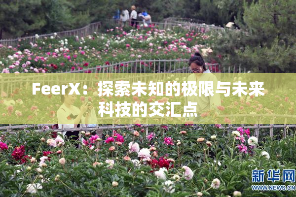 FeerX：探索未知的极限与未来科技的交汇点