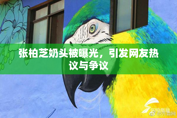 张柏芝奶头被曝光，引发网友热议与争议