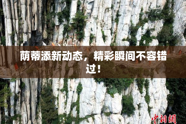 荫蒂添新动态，精彩瞬间不容错过！