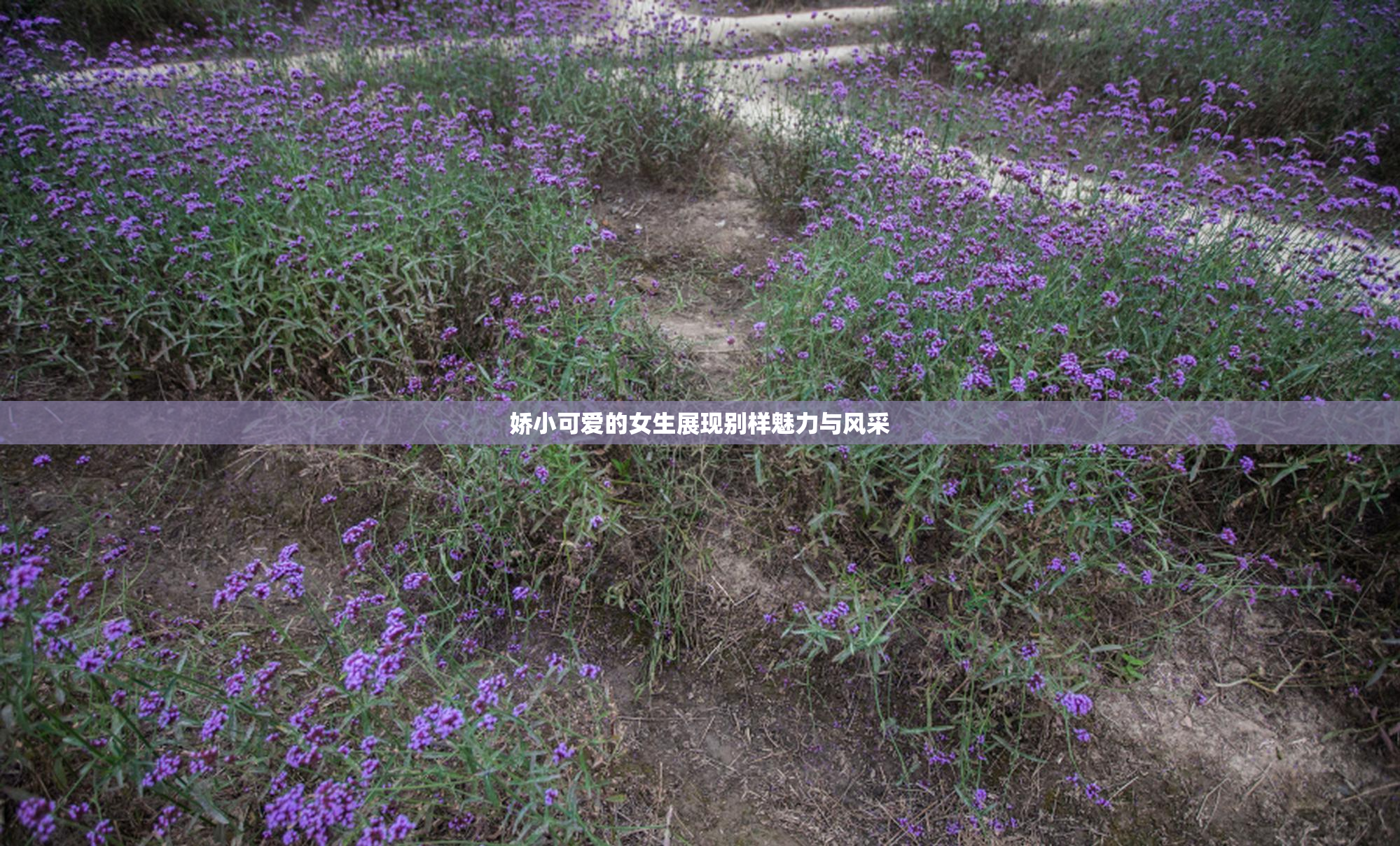 娇小可爱的女生展现别样魅力与风采