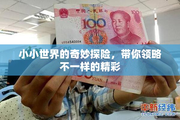 小小世界的奇妙探险，带你领略不一样的精彩