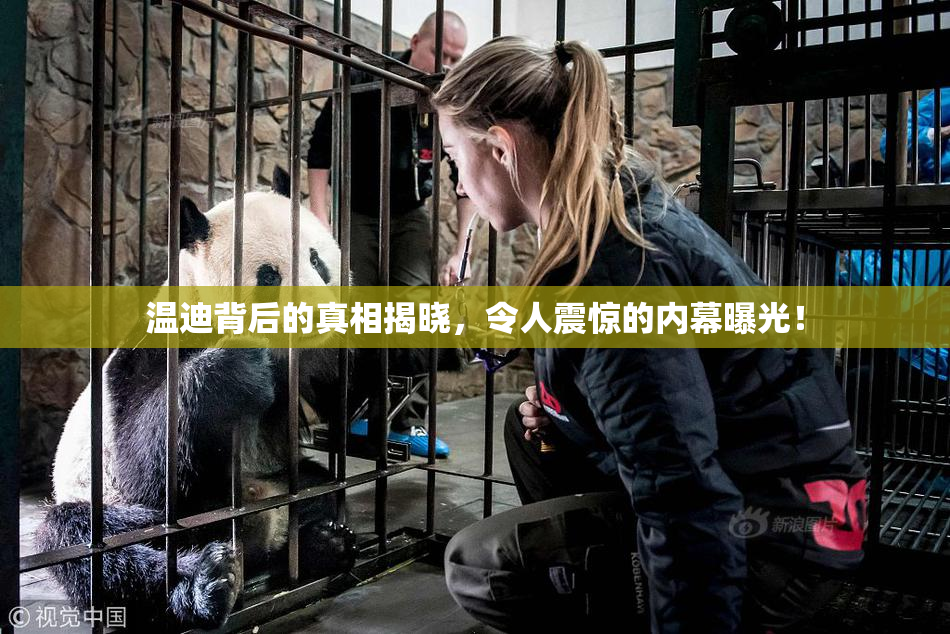 温迪背后的真相揭晓，令人震惊的内幕曝光！