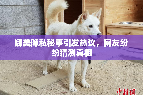 娜美隐私秘事引发热议，网友纷纷猜测真相
