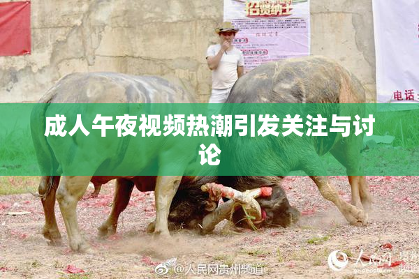 成人午夜视频热潮引发关注与讨论