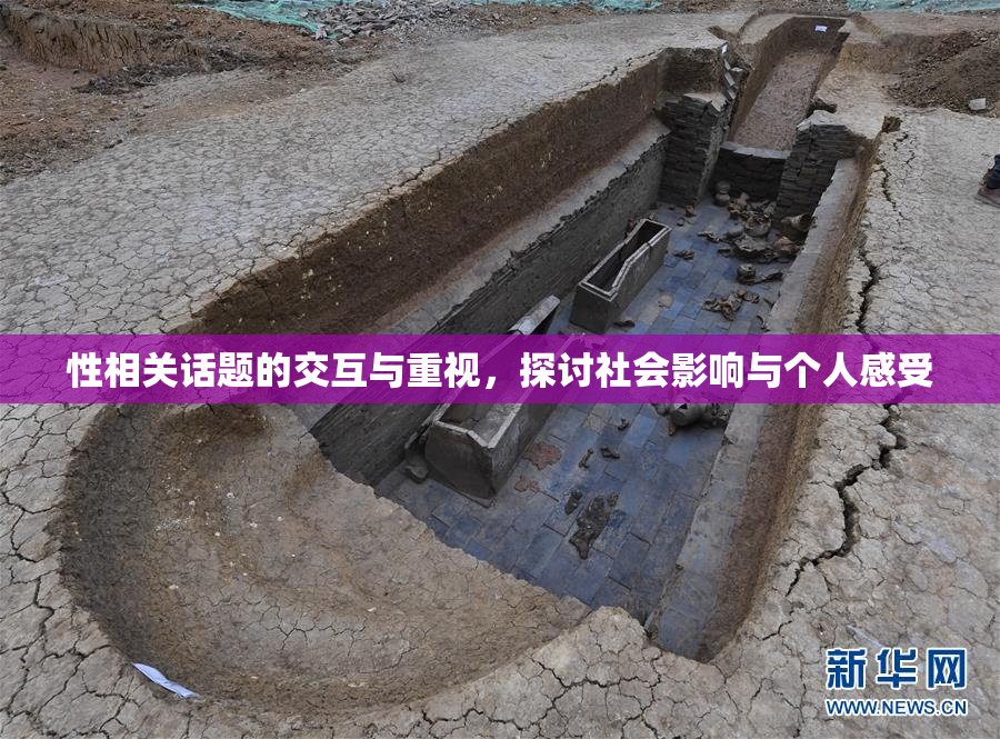 性相关话题的交互与重视，探讨社会影响与个人感受