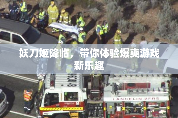 妖刀姬降临，带你体验爆爽游戏新乐趣