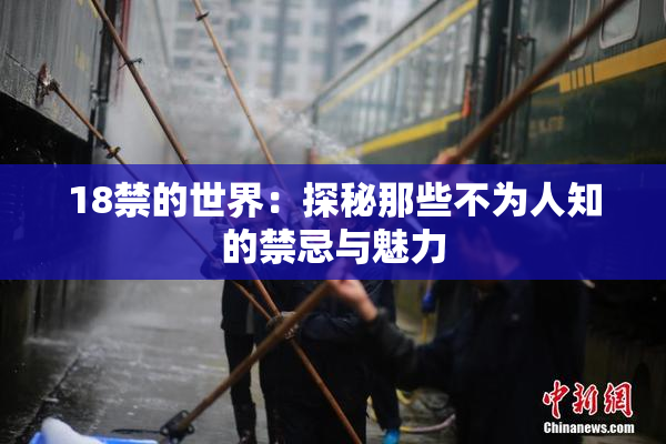 18禁的世界：探秘那些不为人知的禁忌与魅力
