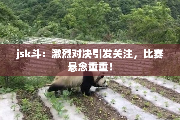 jsk斗：激烈对决引发关注，比赛悬念重重！