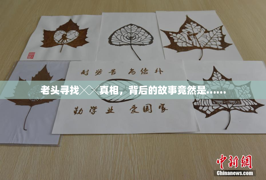 老头寻找╳╳真相，背后的故事竟然是……