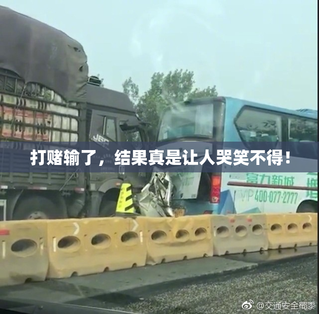 打赌输了，结果真是让人哭笑不得！