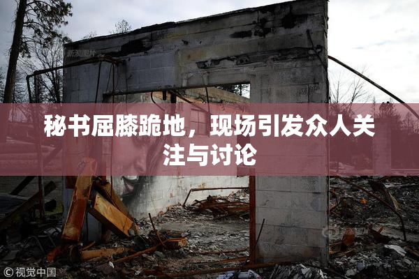 秘书屈膝跪地，现场引发众人关注与讨论