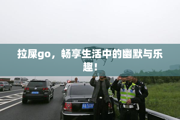 拉屎go，畅享生活中的幽默与乐趣！